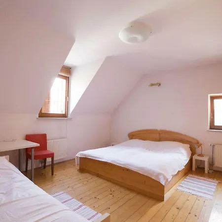 Spacious 2-bedroom Zabjak With Ac Tour As Apartment Laibach