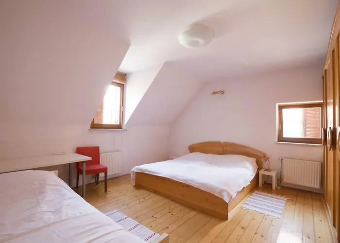 Spacious 2-bedroom Zabjak With Ac Tour As Apartman Ljubljana